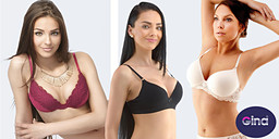 Gina - дамите избират нов сутиен снимка