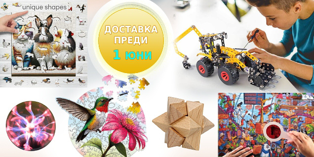 Играчки за големи и пораснали деца снимка