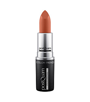 Червило за устни с матиращ ефект Light coral 4 г снимка