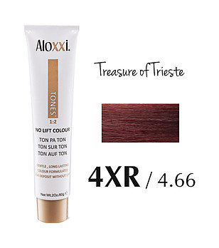 Безамонячна боя за коса Treasure of Trieste 60 гр снимка