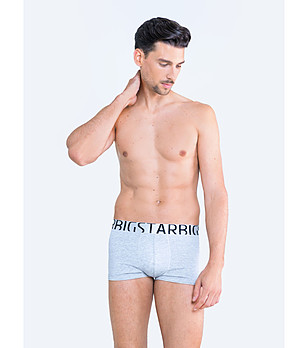 Сиви памучни мъжки боксерки Jonas снимка