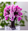 Миниатюрно дърво Magic Sakura-1 снимка