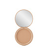 Блестящата пудра 13 Golden Beige-1 снимка