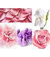 Бяла ароматна свещ Rose Pivoine 420 гр-2 снимка