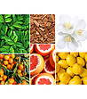 Бяла ароматна свещ Lemon-Verbena 580  гр-2 снимка