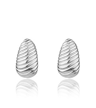 Дамски обеци в сребристо Kinley снимка