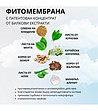 Ежедневни дамски превръзки Енергия на билките-2 снимка