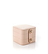 Venice Pink BOX-1 снимка