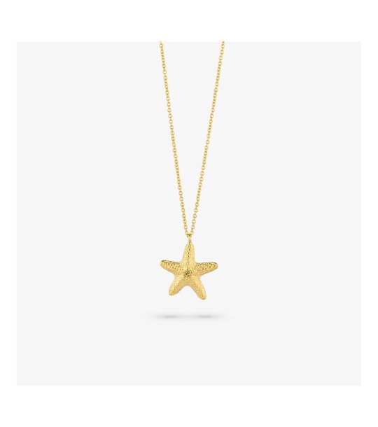 Златисто колие с морска звезда снимка