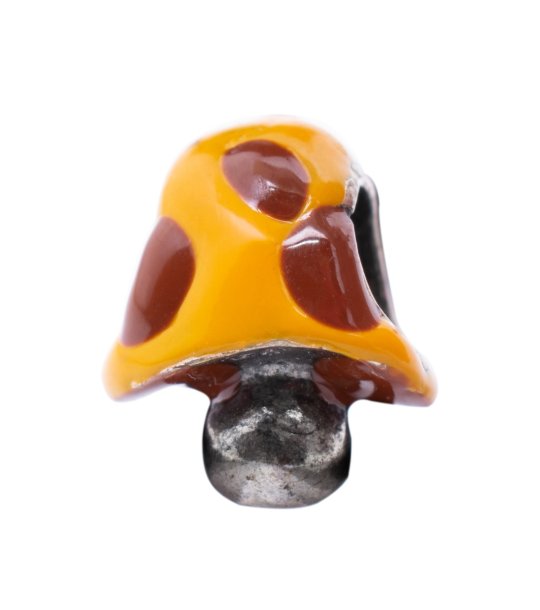 Талсиман гъбка снимка