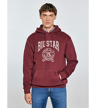 Памучен мъжки суитшърт в цвят бургунд Adam снимка